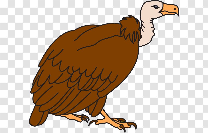 Beaky Buzzard Vulture Cartoon Clip Art - Galliformes - Cliparts Transparent PNG
