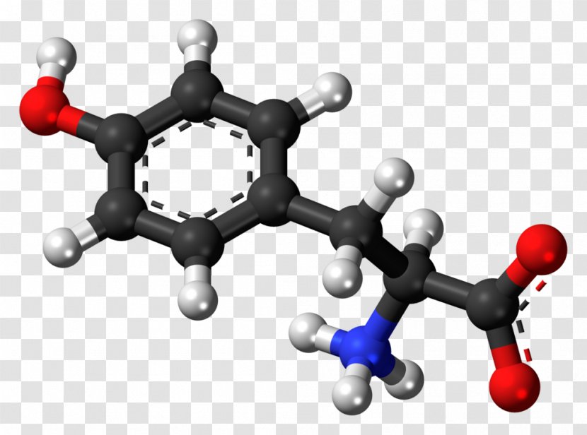 Tyrosine Norepinephrine Levodopa Amino Acid Phenylalanine - Dopamine - L Transparent PNG