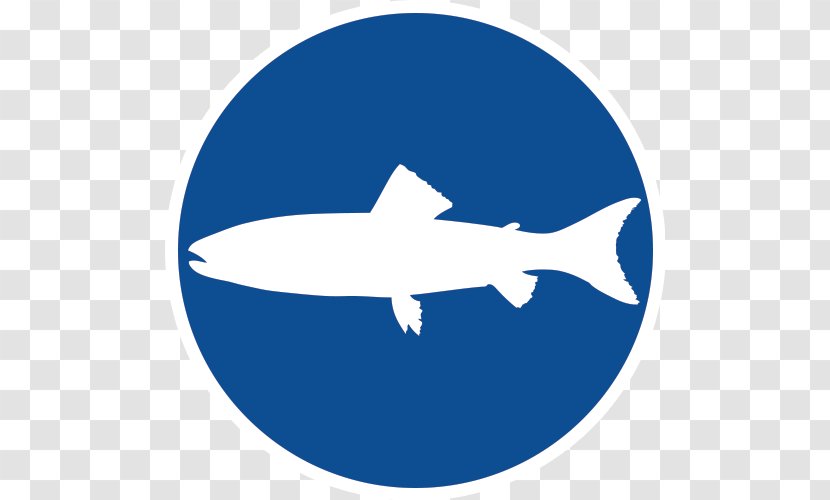 Wikipedia Computer File Shark Traffic Sign August 27 - Fish - Nova Scotia Heritage Day Transparent PNG