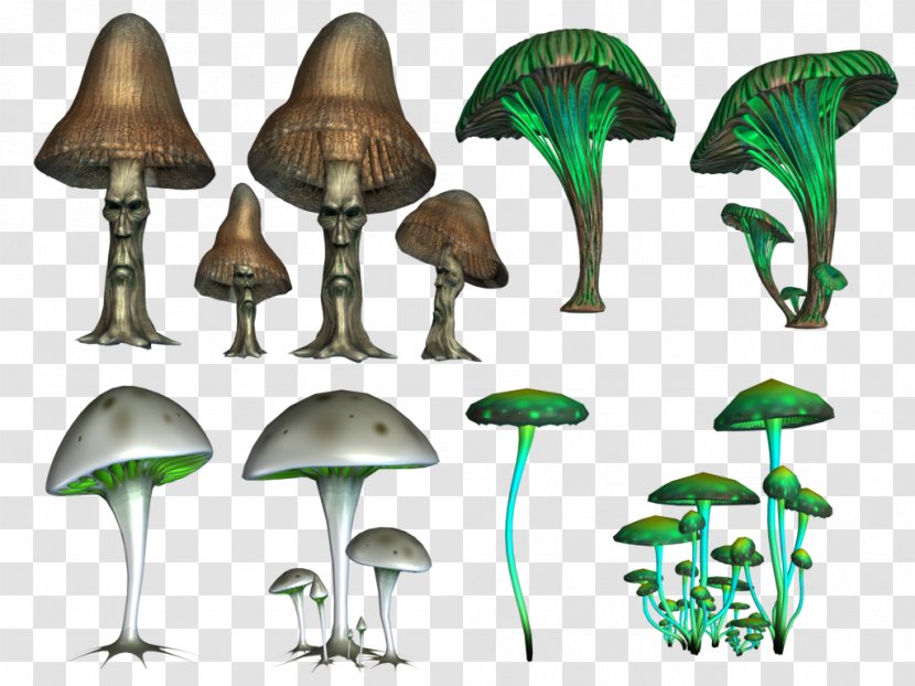 Psilocybin Mushroom Clip Art - Mushrooms Transparent PNG