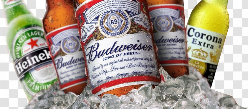 Budweiser Beer Corona Heineken 1080p - Drink Transparent PNG