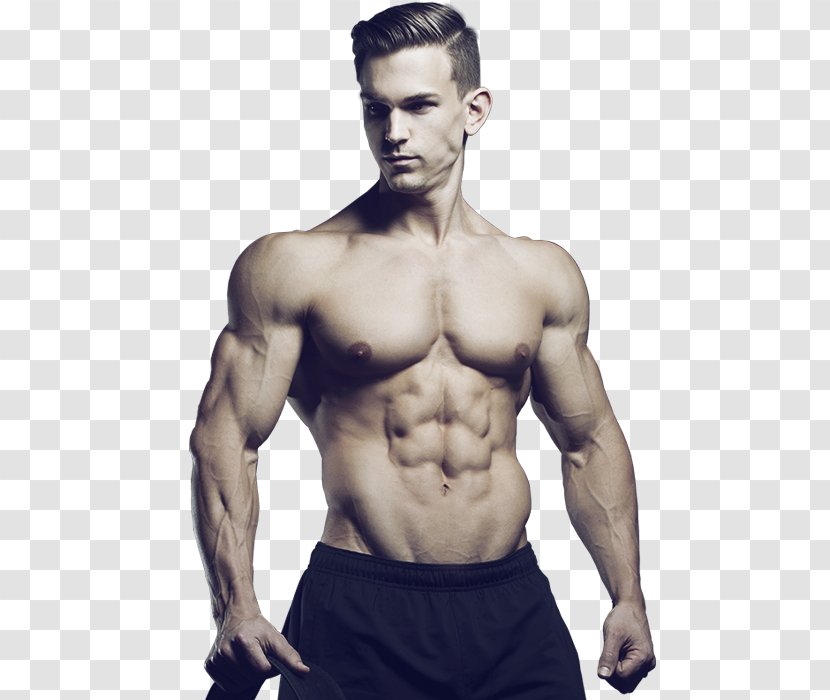 Bodybuilding Muscle Male Arm - Frame - Diet Transparent PNG