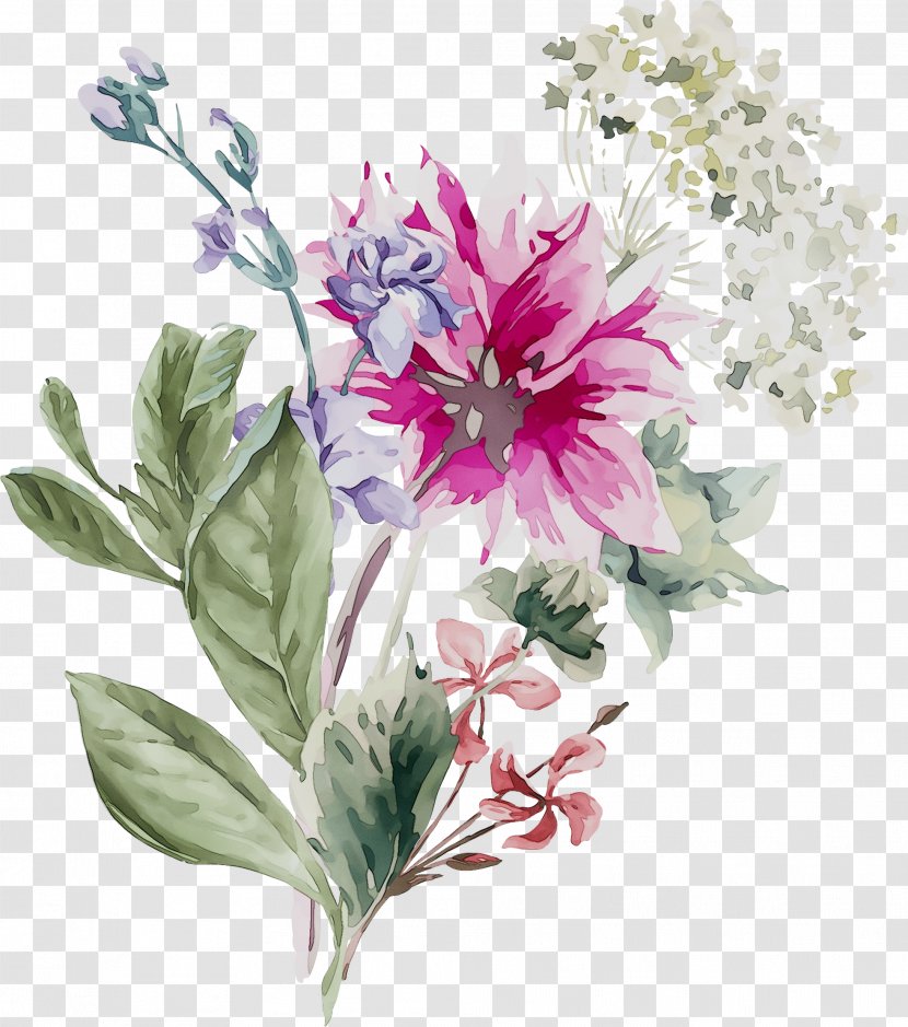 Floral Design Vector Graphics Flower Bouquet Cut Flowers - Plant Transparent PNG