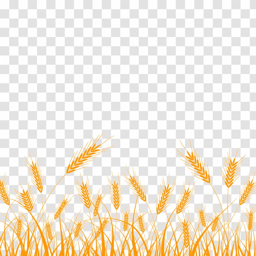Wheat Silhouette Clip Art - Rice Transparent PNG