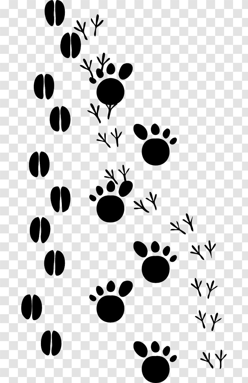 Paw Animal Track Footprint Print Clip Art - Cat Transparent PNG