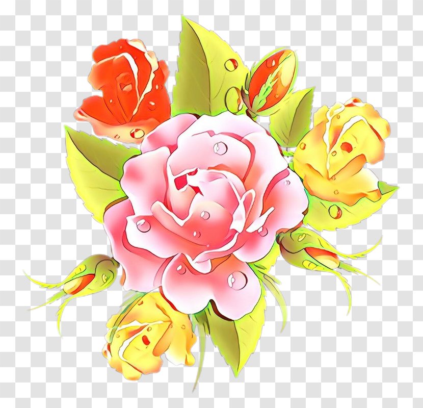 Rose - Pink - Peach Family Transparent PNG
