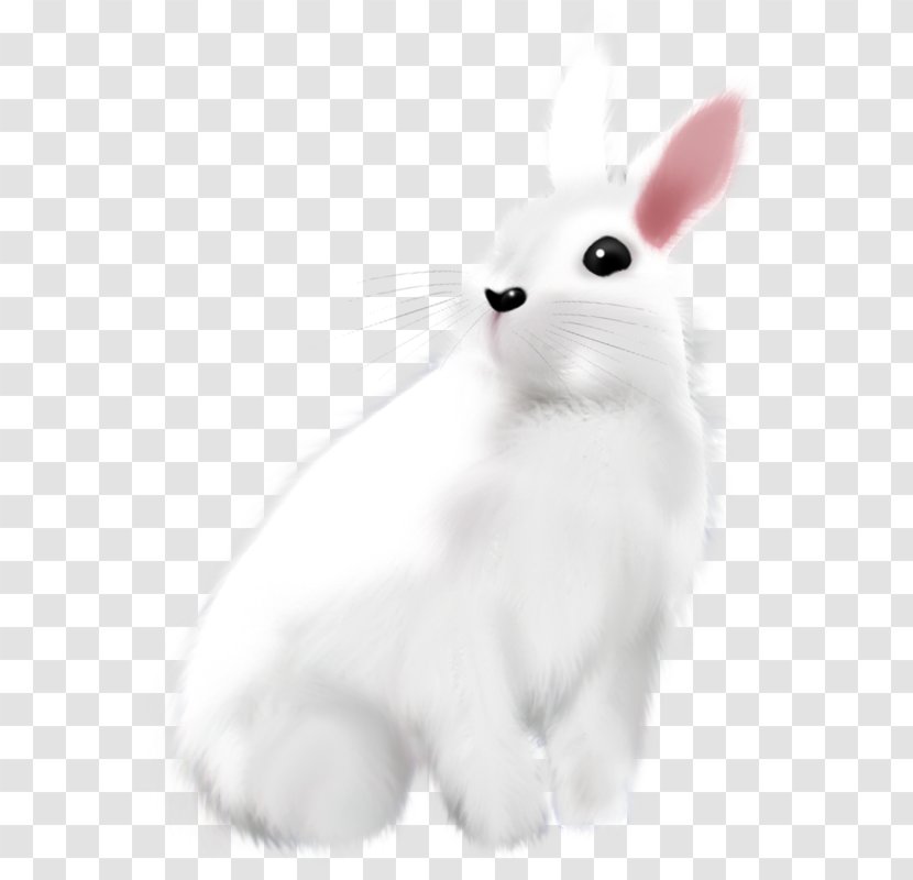 Domestic Rabbit Easter Bunny Hare White - Painted Transparent PNG