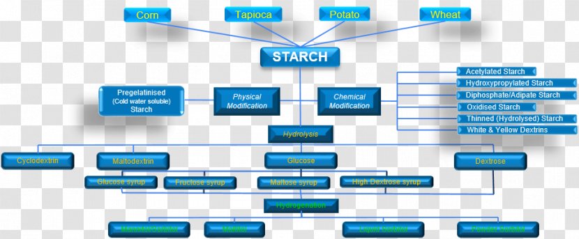 Computer Program Organization Brand - Potato Starch Transparent PNG