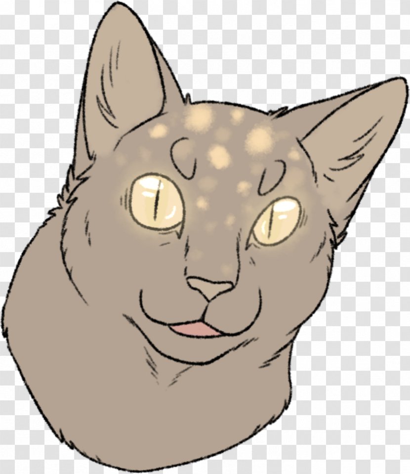 Whiskers Domestic Short-haired Cat Tabby Kitten Transparent PNG