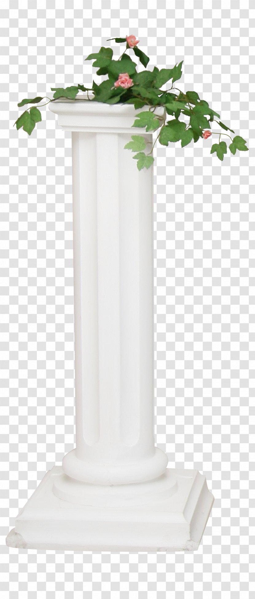 Column Structure - Plant Transparent PNG