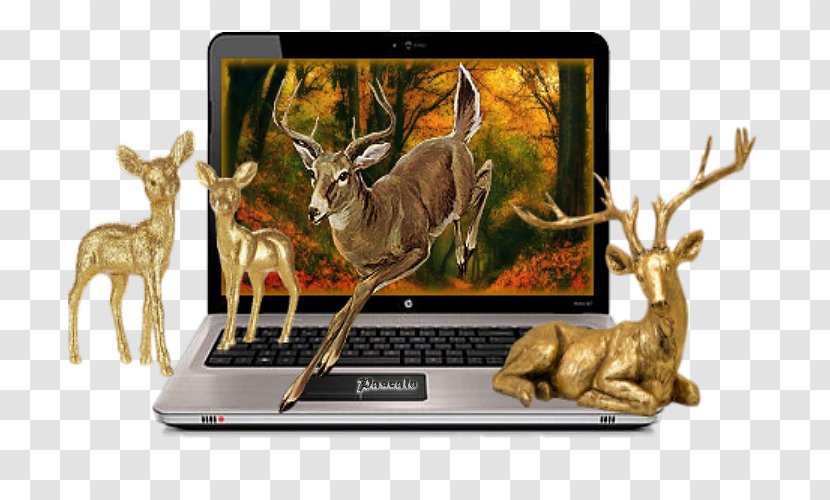 Deer Hewlett-Packard Technology HP Pavilion Wildlife - Hp Transparent PNG
