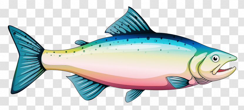 Fish Fish Fish Products Parrotfish Seafood Transparent PNG
