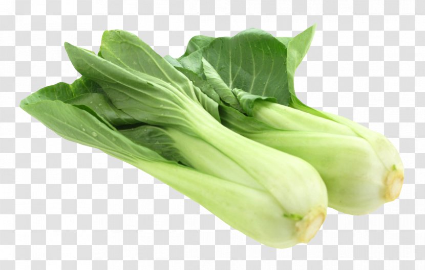 Bok Choy Vegetable - Leaf - Fresh Transparent PNG