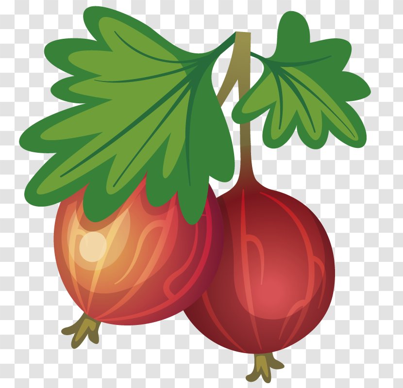 Pomegranate Clip Art - Photography - Hand-painted Model Transparent PNG