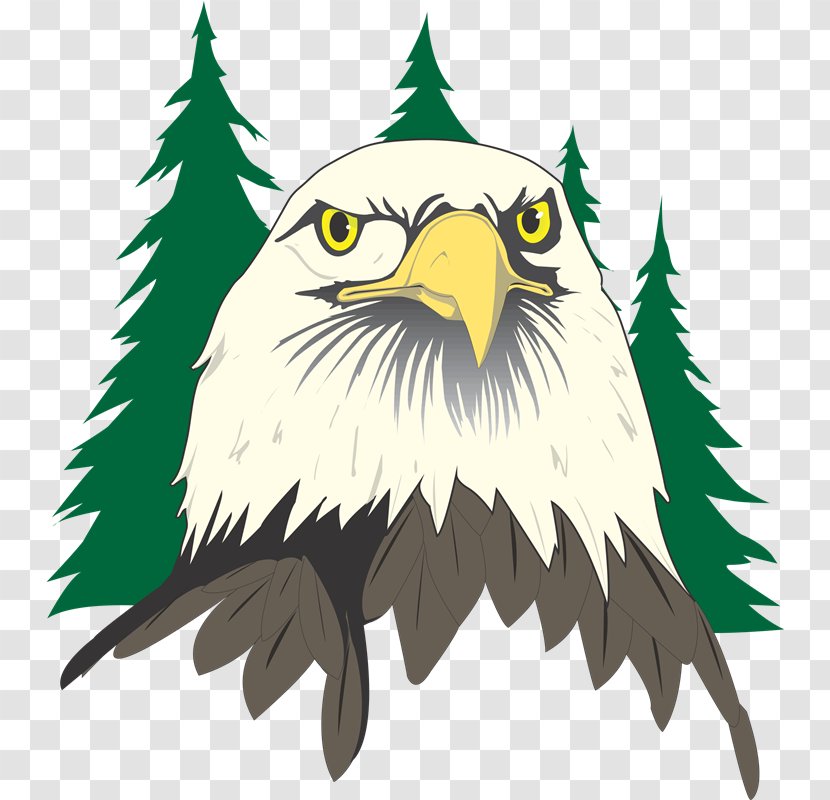 River Eves Elementary School Eagle East Orient - Feather - Ek Transparent PNG