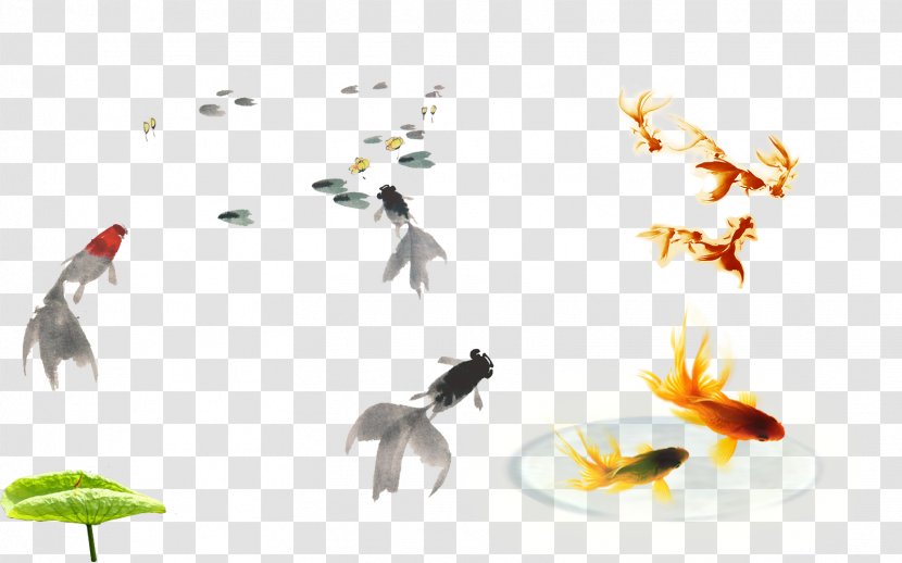 China Carassius Auratus - Chinese Painting - Wind Goldfish Transparent PNG