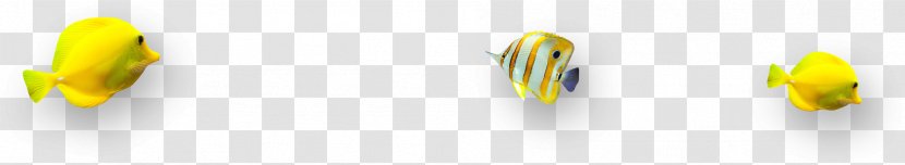 Yellow Wallpaper - Pretty Creative Ornamental Fish Transparent PNG