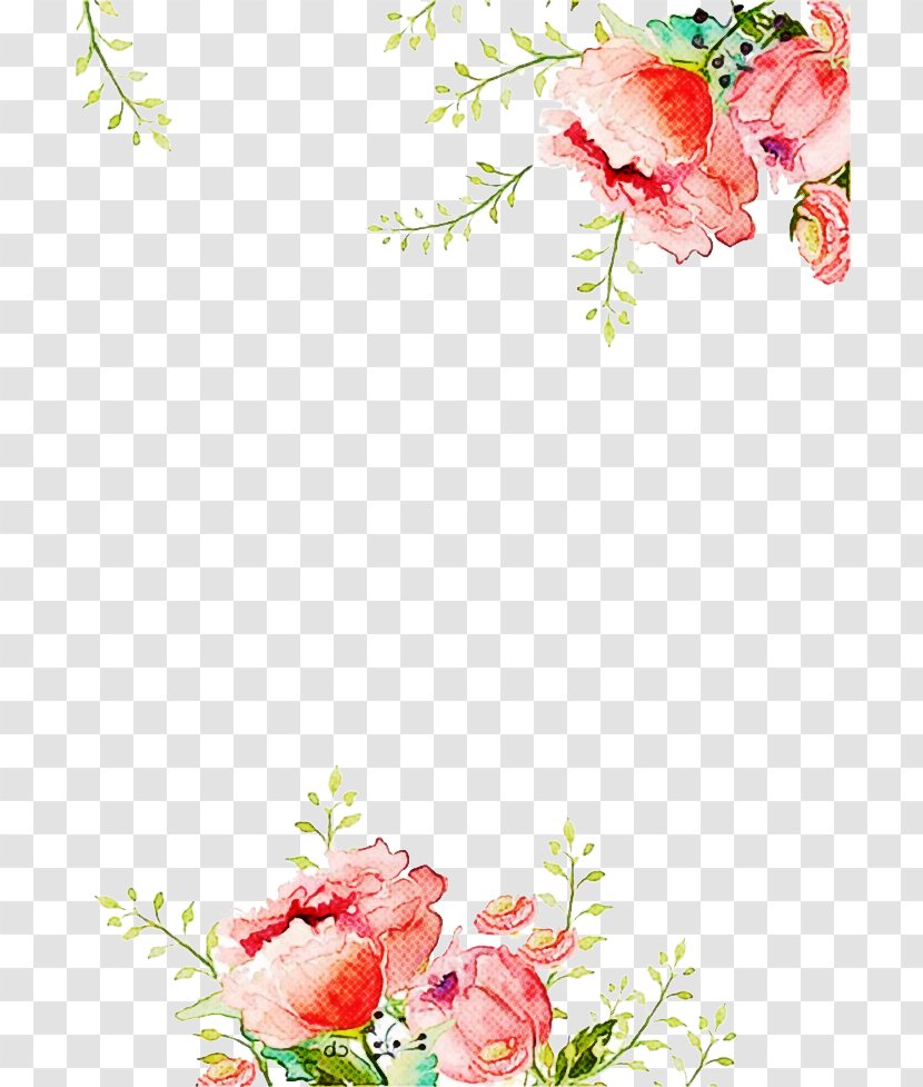Floral Design - Flower Arranging - Floristry Rose Family Transparent PNG
