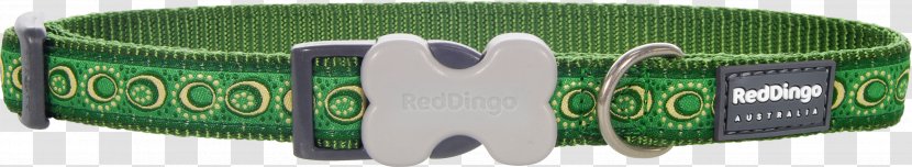 Dog Dingo Leash Green Collar - Lime - Red Transparent PNG