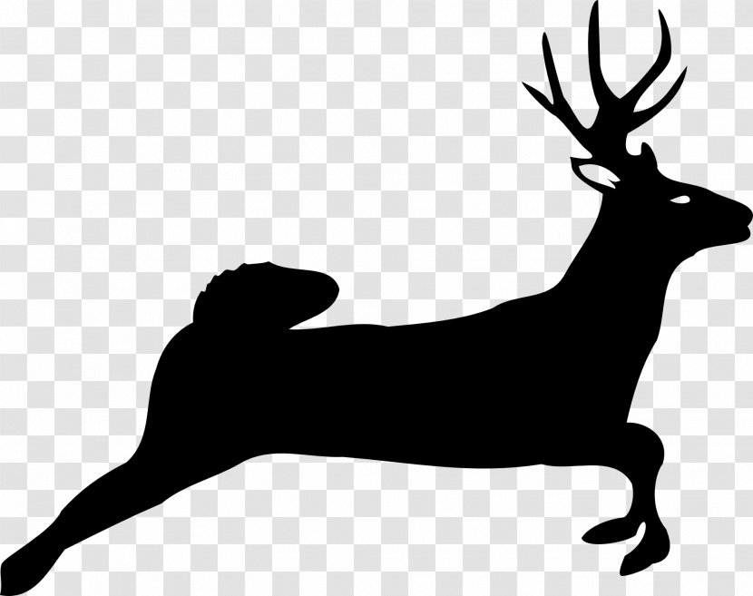 White-tailed Deer Moose Clip Art - Dog Like Mammal - Bison Transparent PNG