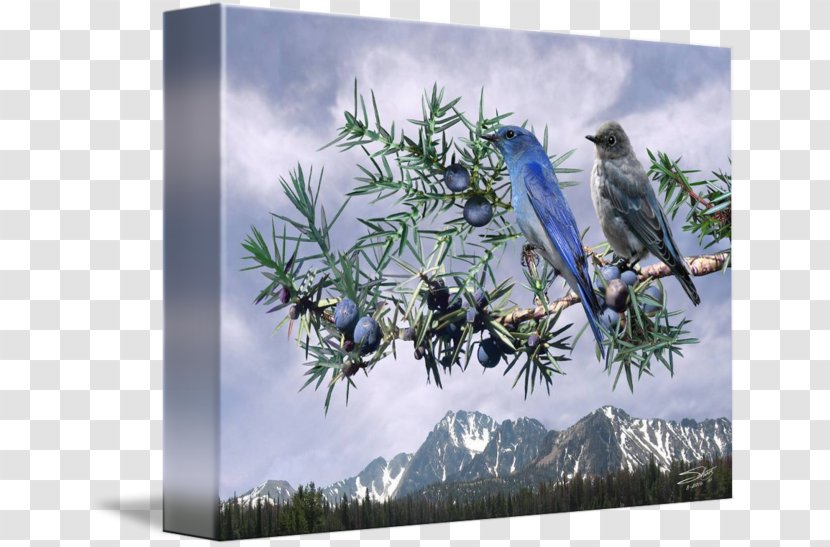 Fine Art Mountain Bluebird Work Of Digital - Guarantee Transparent PNG