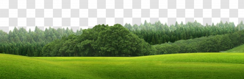 Green Download - Grassland - Field Transparent PNG