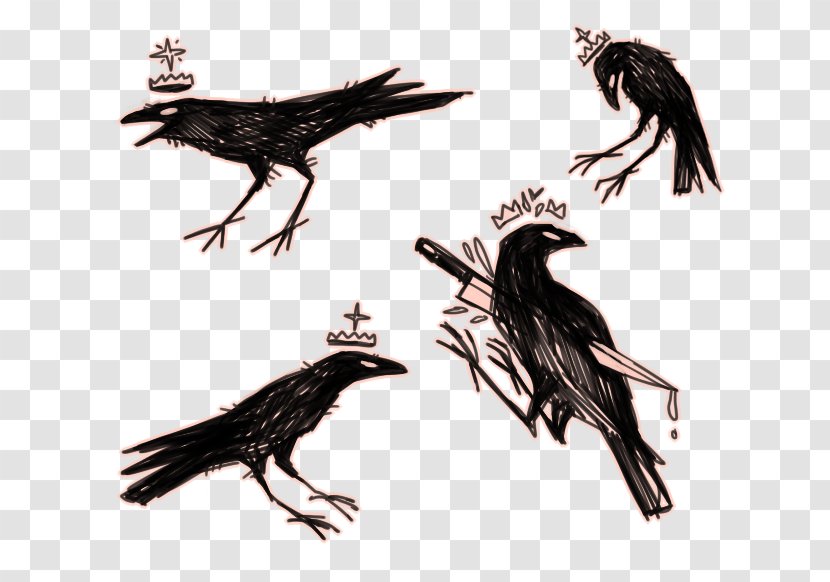 American Crow In The Company Of Crows And Ravens Drawing Raven - Beak Transparent PNG