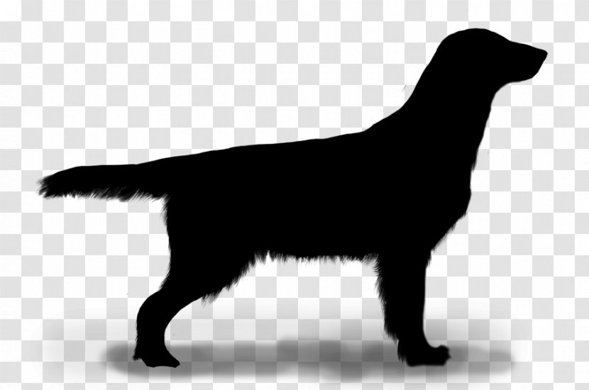 Flat-coated Retriever Labrador Dog Breed Puppy Transparent PNG