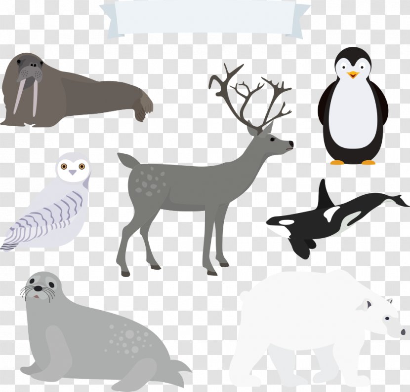 Polar Bear Euclidean Vector North Pole Download - Heart - And Birds Transparent PNG