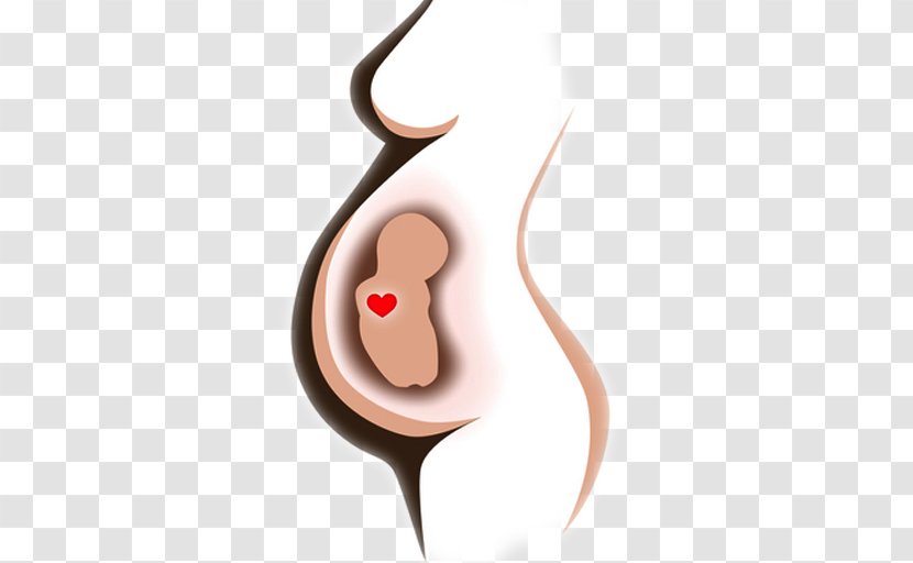 Pregnancy Infant Childbirth Midwifery Obstetrics - Heart Transparent PNG