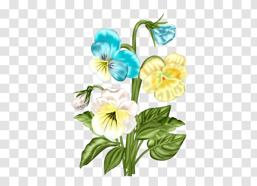 Watercolor Painting Centerblog Pansy - Seed Plant Transparent PNG