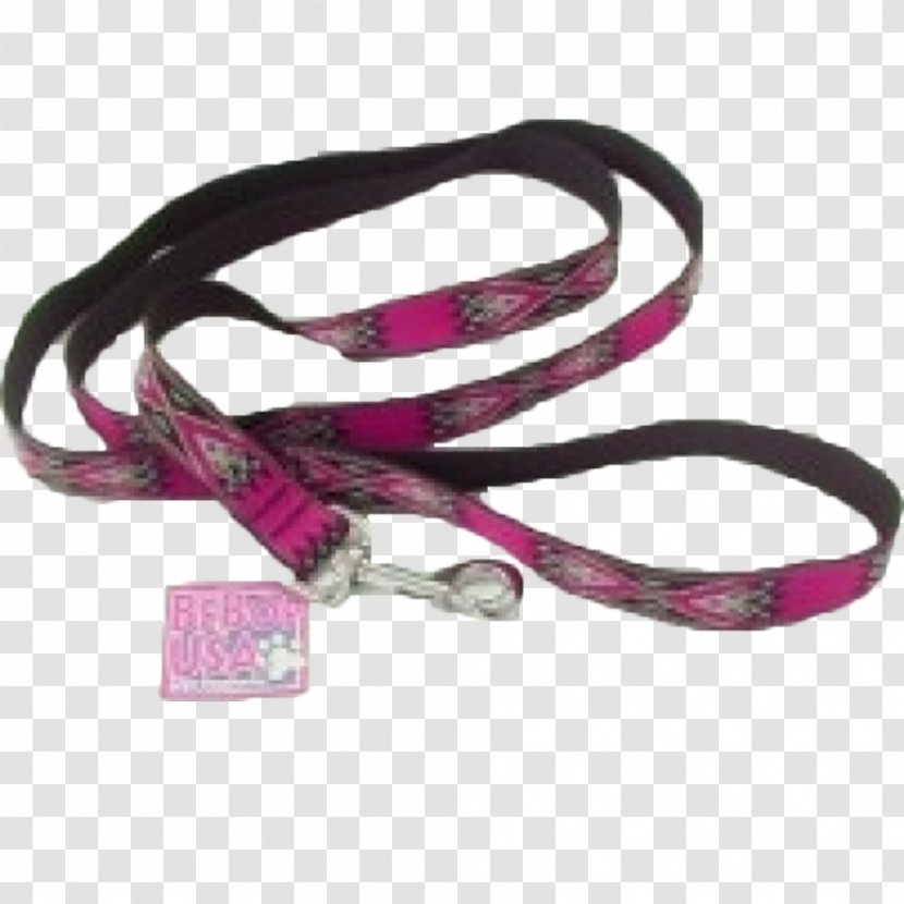 Leash Dog Collar Strap - Belt Transparent PNG