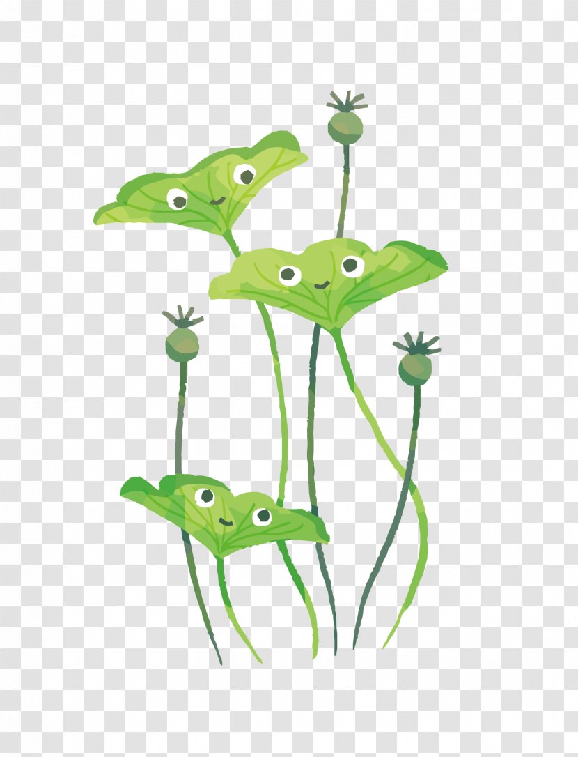 Illustrator Illustration - Green - Vector Happy Lotus Leaf Transparent PNG