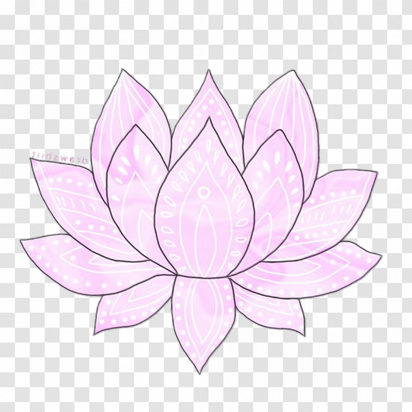 Lotus - Sacred - Water Lily Plant Transparent PNG