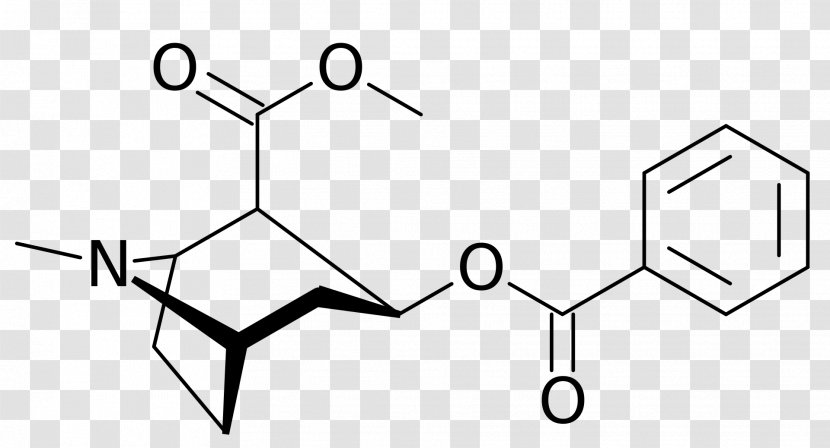 Cocaine Alkaloid Drug Chemical Compound Erythroxylum Coca - Monochrome Transparent PNG