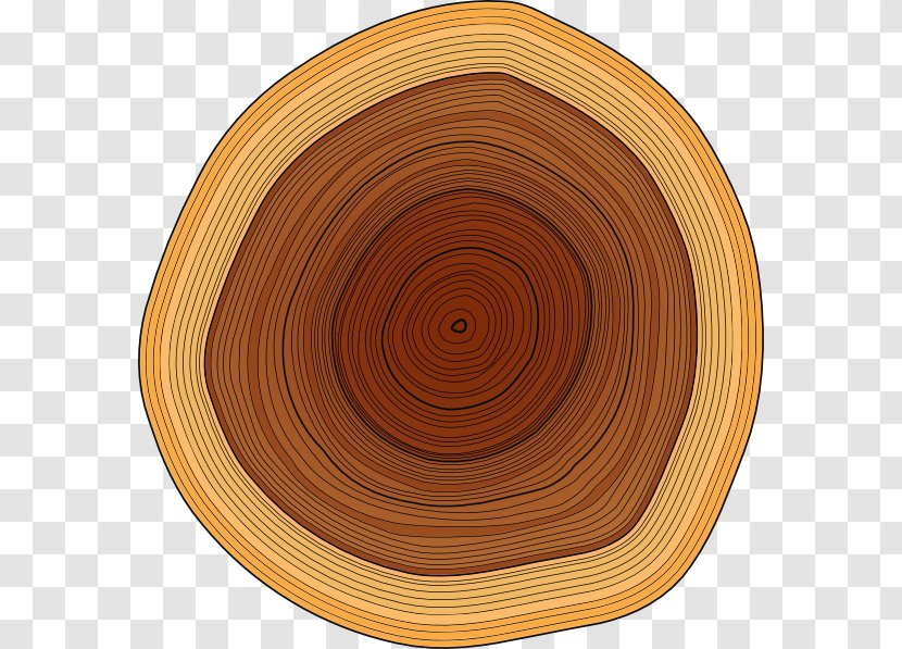 Wood Lumberjack Tree Stump Clip Art - Dishware - Small Logs Cliparts Transparent PNG