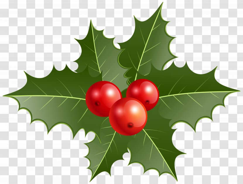 Mistletoe Common Holly Christmas Clip Art - Peppers Clipart Transparent PNG