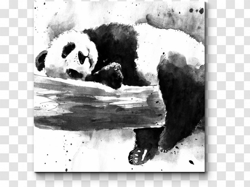 Giant Panda Bear Watercolor Painting Drawing Paper Transparent PNG