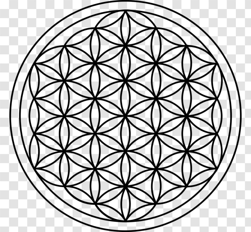 Sacred Geometry Overlapping Circles Grid Metatron's Cube - Fibonacci Number - T-shirt Transparent PNG