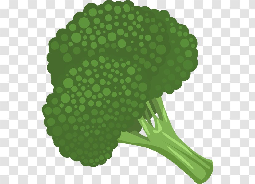 Broccoli Slaw Vegetable Clip Art Transparent PNG