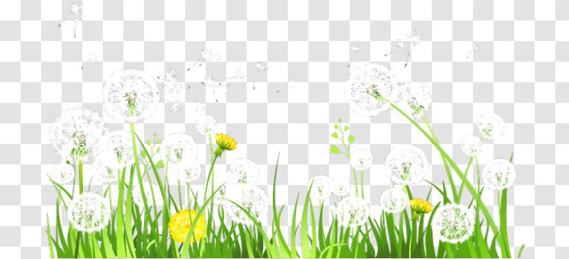 Download Icon - Lawn - Pretty Dandelion Transparent PNG