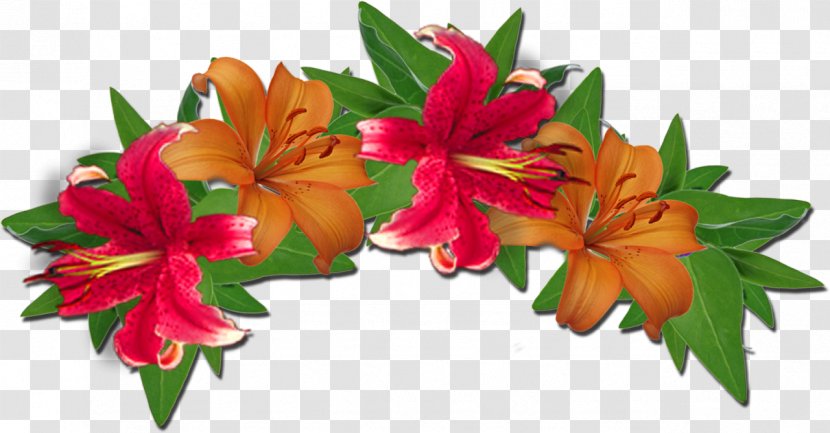 Floral Design Wreath Cut Flowers Clip Art - Crown - Flower Transparent PNG