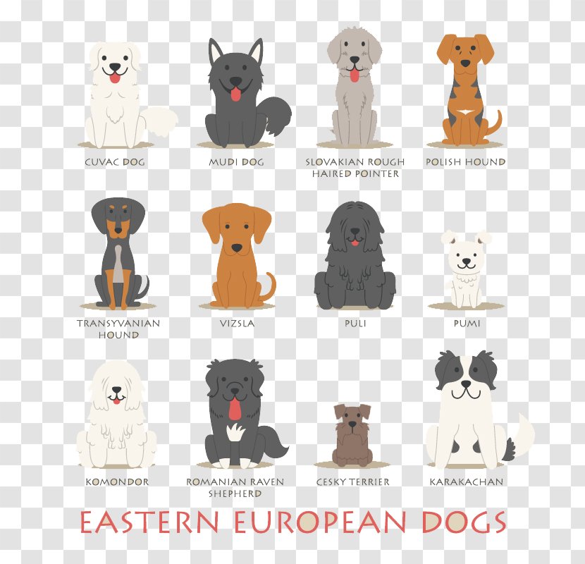 Polish Hound Basset Dachshund Puppy Eastern Europe - 12 European Cartoon Dog Design Vector Material Transparent PNG