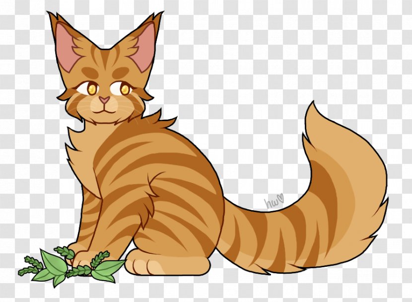 Tabby Cat Warriors Kitten Leafpool - Thunderclan - Coon Transparent PNG