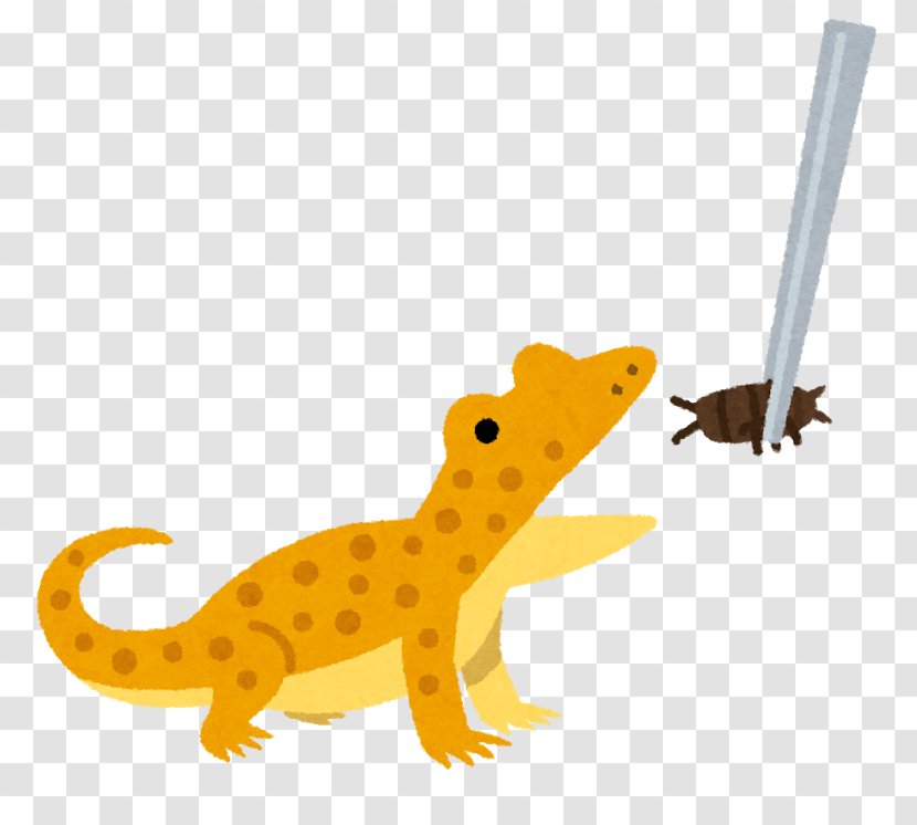 Lizard Reptile 飼育 Japanese Skink Bait - Animal Transparent PNG