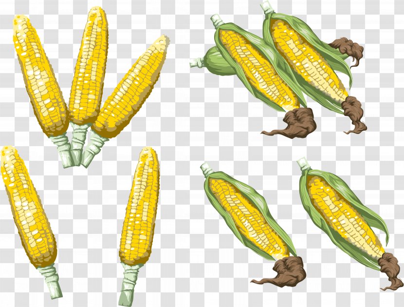 Corn Download Image Adobe Photoshop - Commodity Transparent PNG