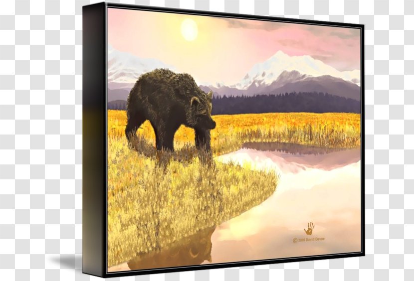 Bear Painting Picture Frames Elephantidae Wildlife Transparent PNG