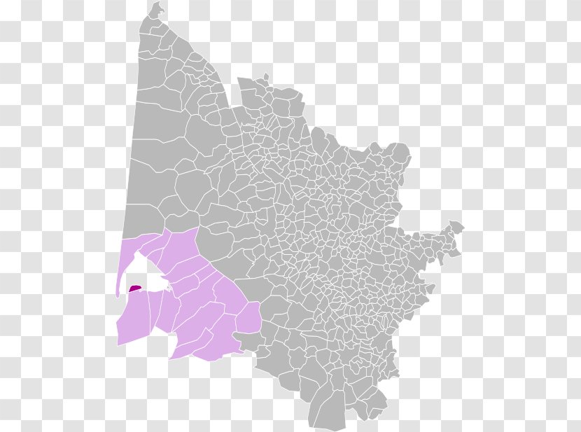Bordeaux Blank Map Departments Of France Wikipedia - Flowering Plant Transparent PNG