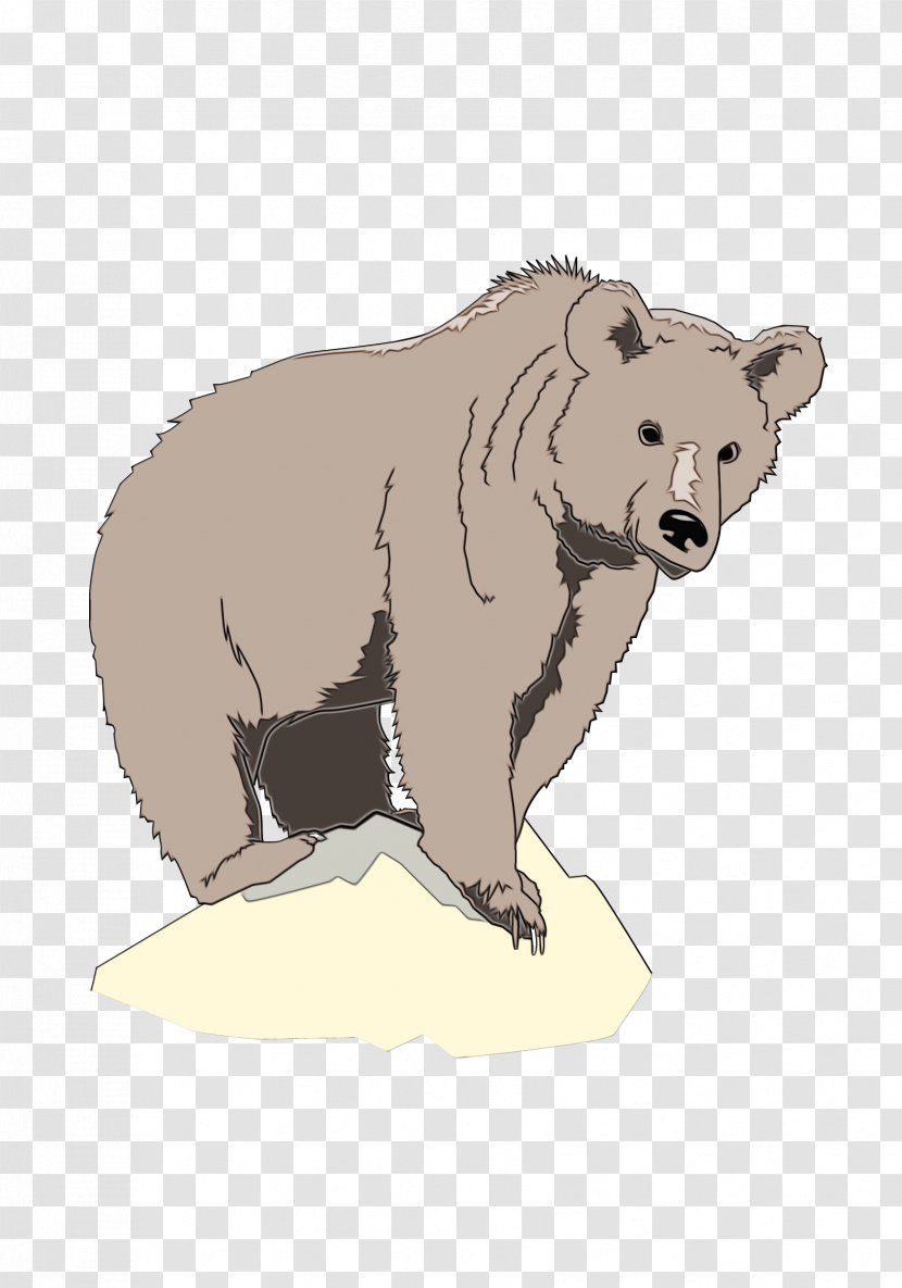 Bear Cartoon - Wildlife - Drawing Animal Figure Transparent PNG