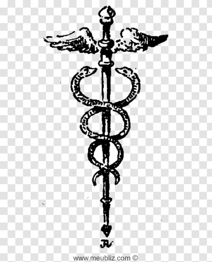 Staff Of Hermes Caduceus As A Symbol Medicine Mercury Snakes Definition - Herald - Myth Transparent PNG
